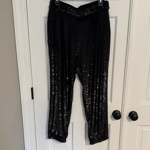 Express Black Sequin Cropped Pants